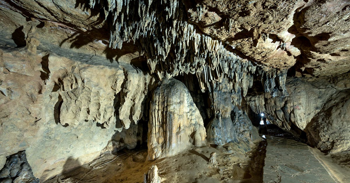 découvrez les mystères d'une cave humide : des conseils pratiques pour la préserver, des astuces de rénovation et les impacts de l'humidité sur votre santé et votre maison.