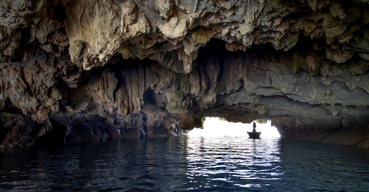 découvrez l'histoire fascinante et les mystères d'une grotte humide, où la nature a sculpté des formations étonnantes. plongez dans l'univers des cavités souterraines et explorez les secrets que recèle cet environnement unique.