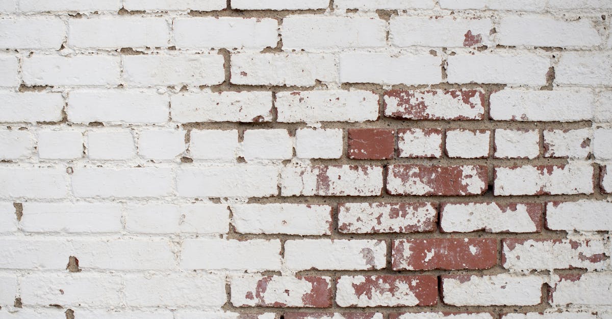 découvrez tout ce qu'il faut savoir sur les coûts de rénovation. obtenez des conseils pratiques, des estimations de budget et des astuces pour optimiser vos dépenses tout en transformant votre espace de vie.