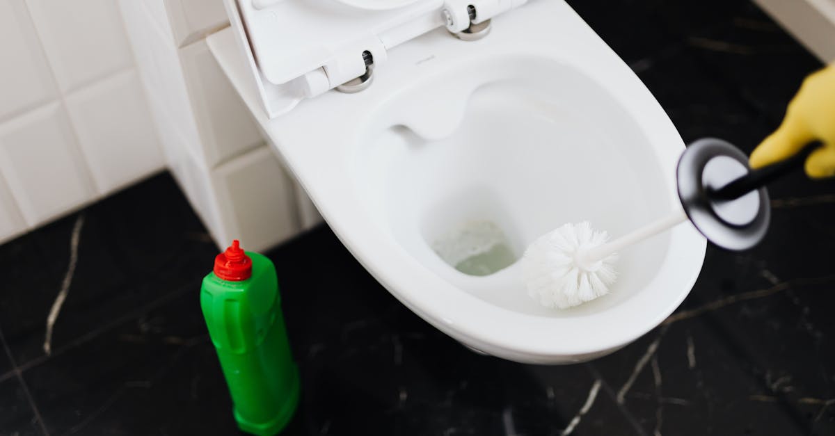 découvrez des astuces efficaces pour déboucher vos canalisations rapidement et facilement. apprenez les méthodes naturelles et les outils indispensables pour résoudre les problèmes de plomberie chez vous.