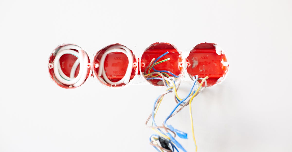 découvrez tout sur les prises électriques : types, utilisations et conseils d'installation. informez-vous sur les normes de sécurité et les innovations pour un habitat connecté.