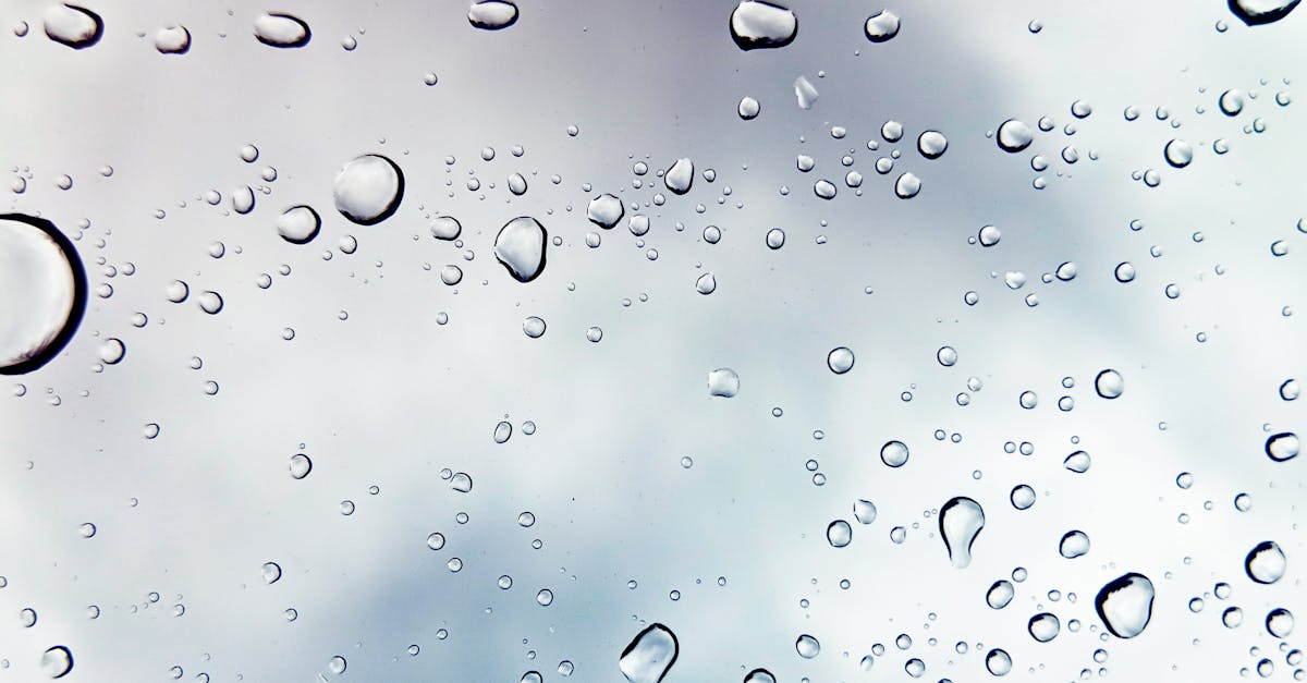 découvrez nos services de cleaning professionnels pour des espaces propres, sains et accueillants. bénéficiez d’une équipe expérimentée, de produits respectueux de l’environnement et d’un nettoyage sur-mesure adapté à vos besoins.