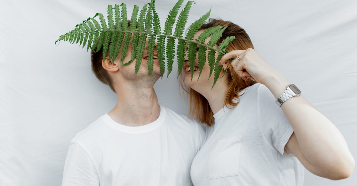 découvrez l'univers du concealment, où l'art de cacher et de camoufler des objets ou des secrets prend tout son sens. explorez des techniques innovantes et des solutions adaptées pour optimiser votre discrétion dans divers contextes.