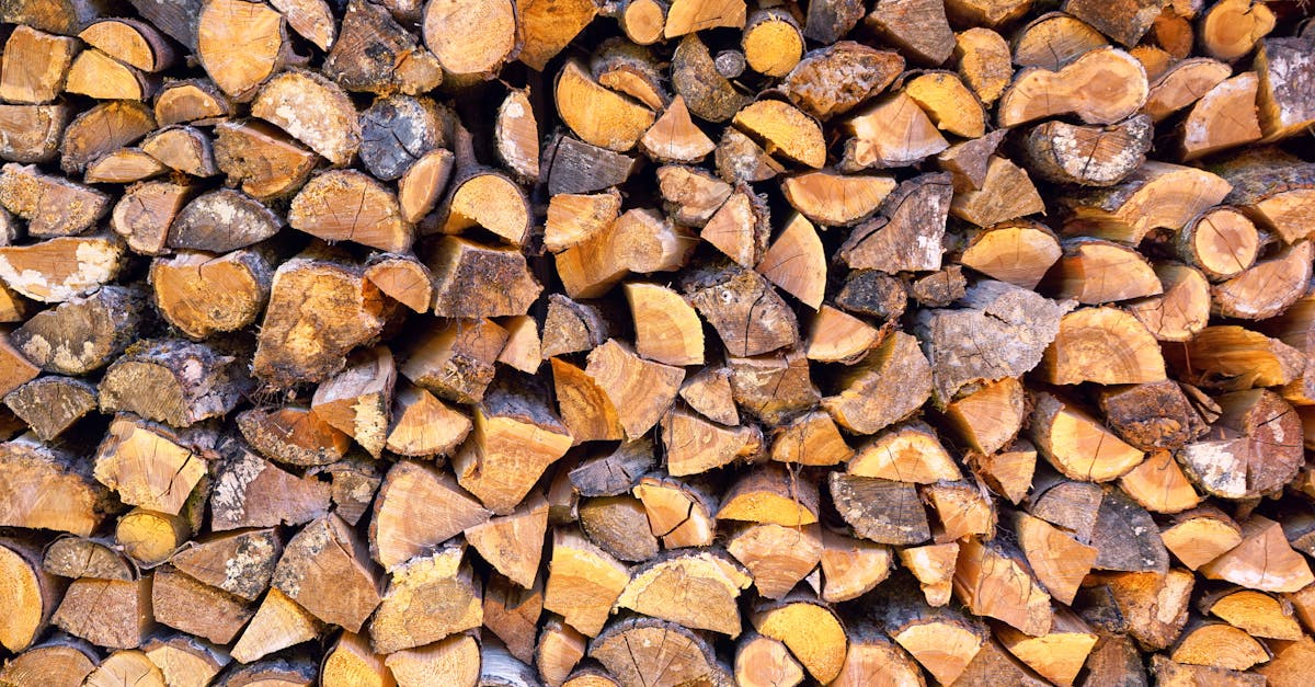 découvrez notre bois de chauffage sec, prêt à brûler. livraison rapide. formats pour poêles, cheminées et barbecues. commandez en ligne au meilleur prix.