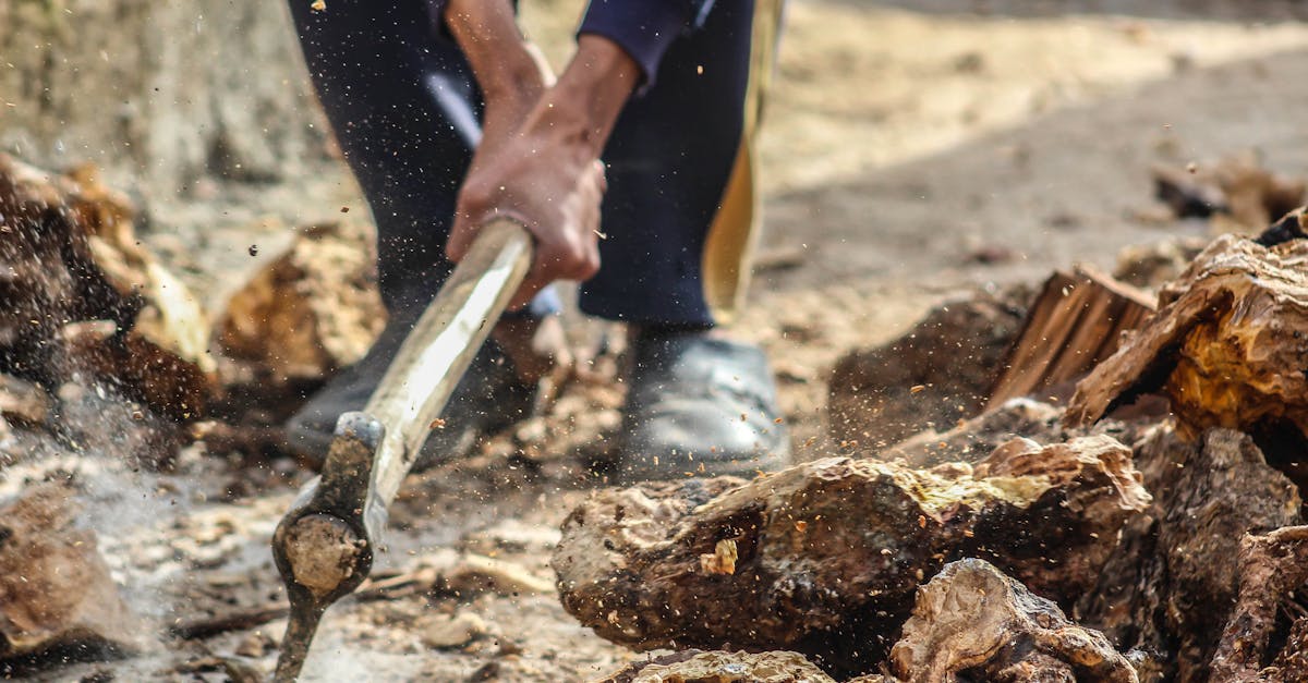 découvrez notre bois de chauffage sec et durable: bûches prêtes à brûler, livraison rapide, prix compétitifs, chaleur optimale pour poêles et cheminées.