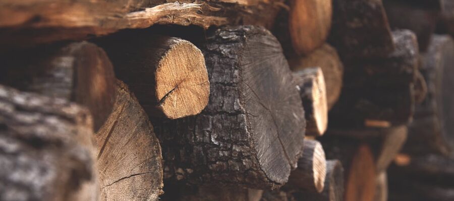 découvrez notre bois de chauffage sec et certifié, livré rapidement. conseils de stockage, essences de qualité et prix clairs pour un chauffage efficace.