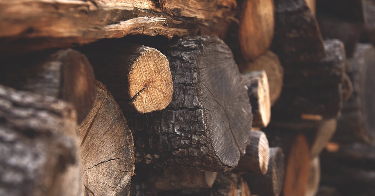 découvrez notre bois de chauffage sec et certifié, livré rapidement. conseils de stockage, essences de qualité et prix clairs pour un chauffage efficace.