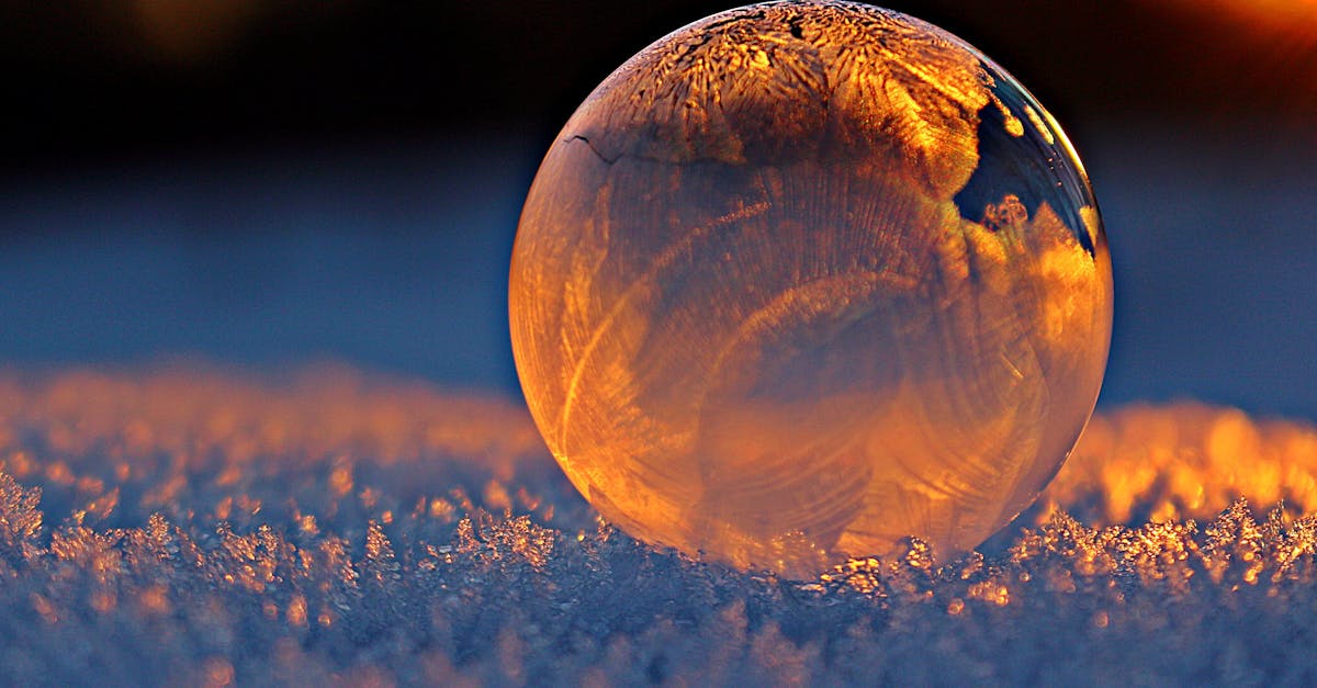 découvrez ce qu'est le frost, ses effets sur l'environnement et les méthodes pour s'en protéger. conseils pratiques pour jardiniers et agriculteurs face au gel.