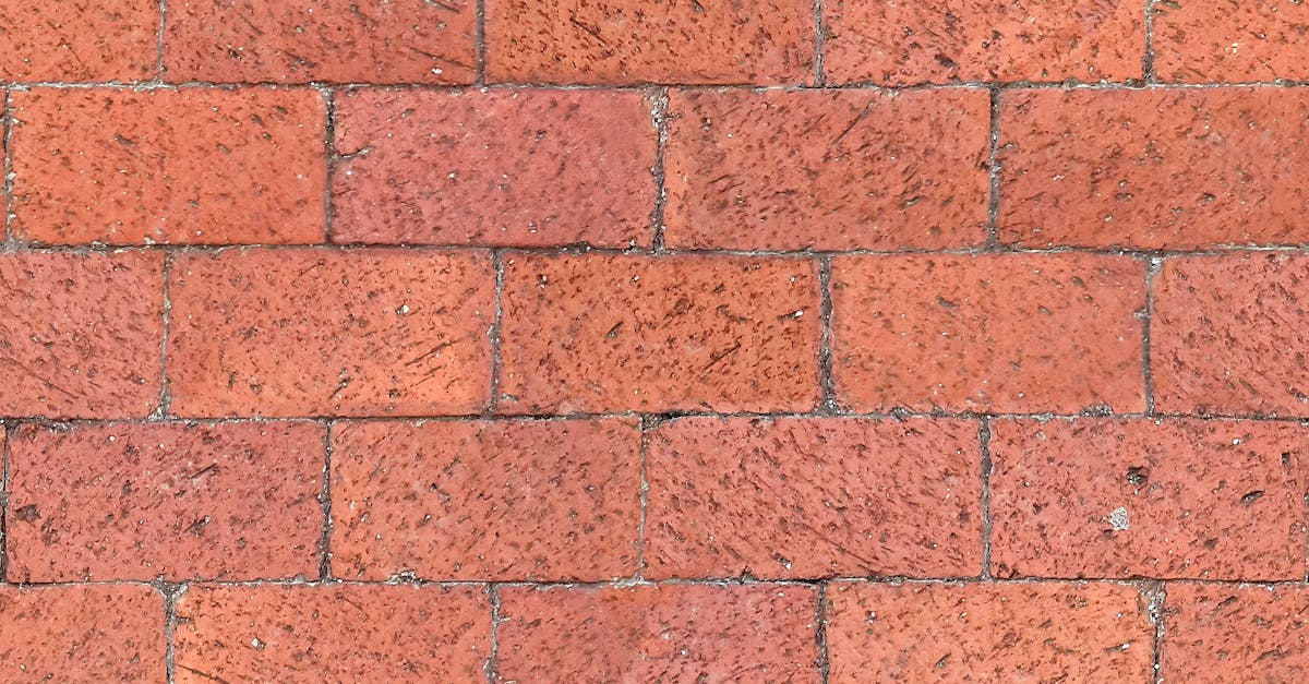 découvrez tout ce que vous devez savoir sur le grout : ses types, ses applications, et comment l'utiliser pour des joints de carrelage durables et esthétiques. optimisez vos projets de rénovation avec nos conseils pratiques.