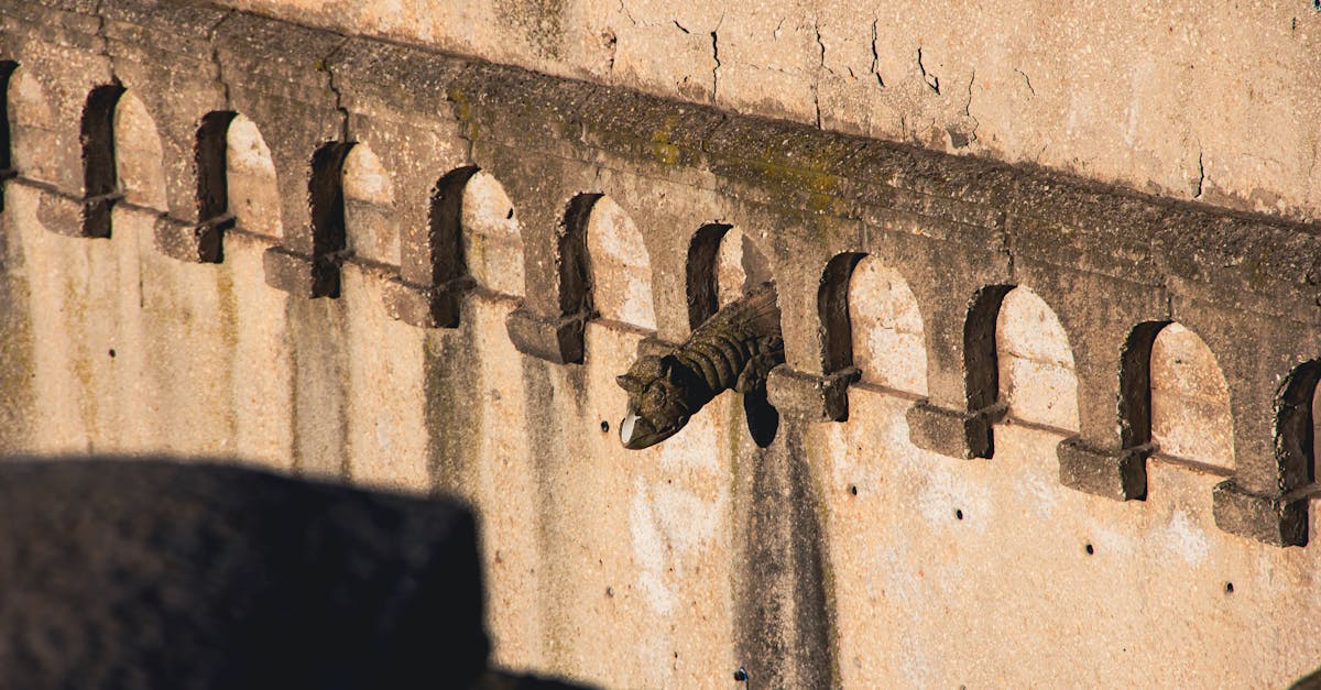 découvrez les solutions efficaces pour le drainage des eaux pluviales afin de prévenir les inondations, protéger vos fondations et préserver l’environnement. conseils, systèmes et astuces d’experts.