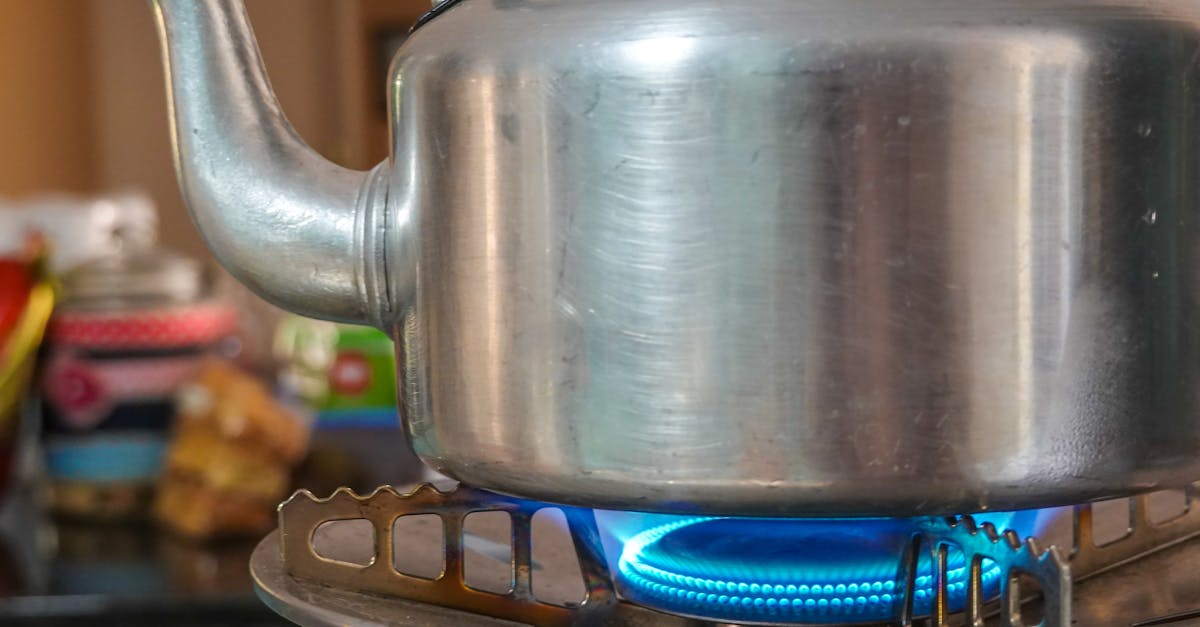 découvrez les chaudières à gaz viessmann : performance, efficacité énergétique et fiabilité pour le chauffage de votre maison. profitez des solutions innovantes et écologiques viessmann pour un confort optimal toute l'année.