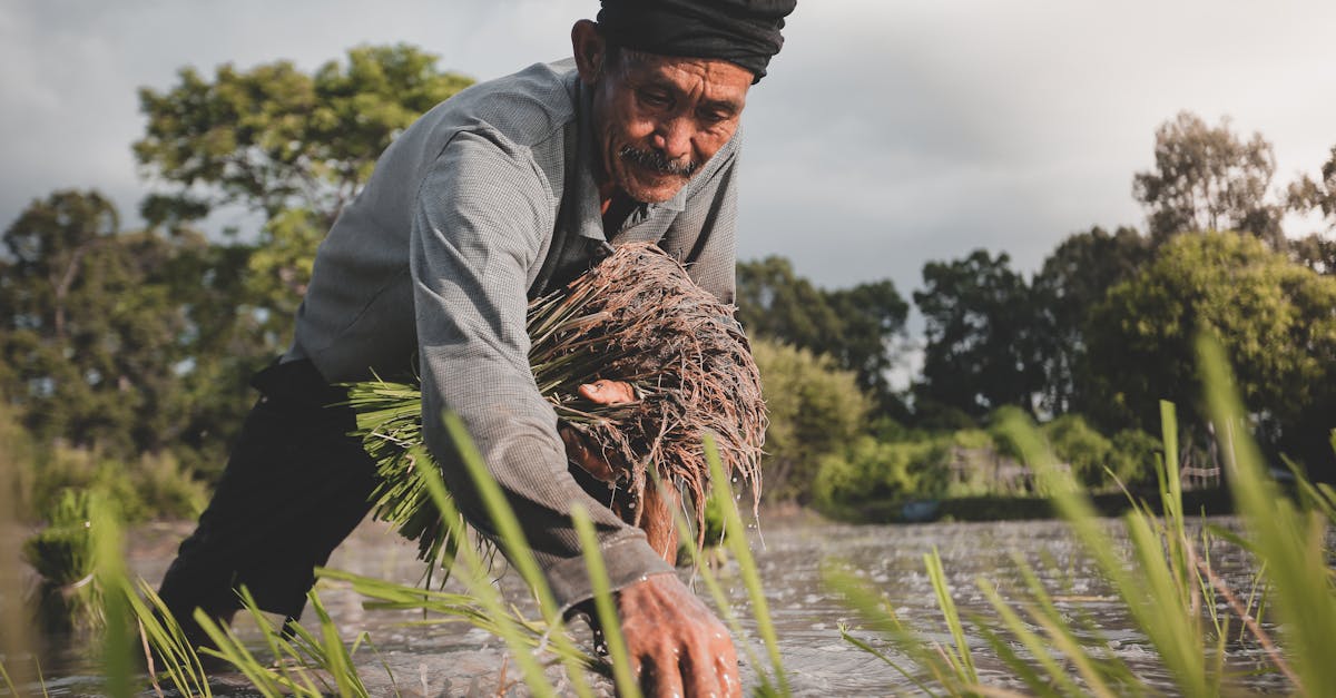 découvrez tout sur la dureté de l'eau : ses causes, ses effets sur la santé et les appareils domestiques, ainsi que des solutions pour la mesurer et la traiter efficacement.
