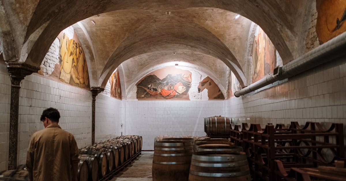 découvrez tout ce qu'il faut savoir sur la cave à vin : conseils d’aménagement, astuces de conservation et sélection des meilleurs équipements pour préserver vos bouteilles dans des conditions idéales.