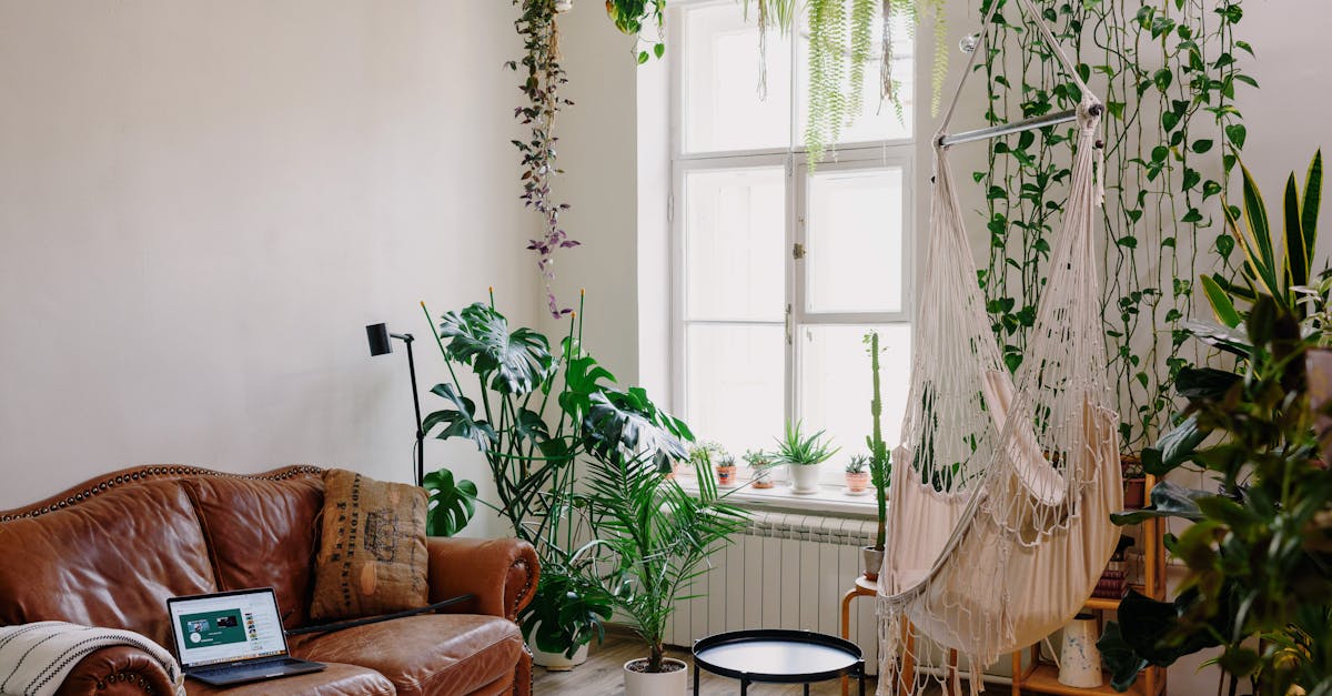 découvrez comment intégrer des plantes suspendues à votre décoration intérieure pour un espace vert, moderne et élégant. conseils d’entretien, astuces diy et idées déco pour sublimer votre maison avec des hanging plants.