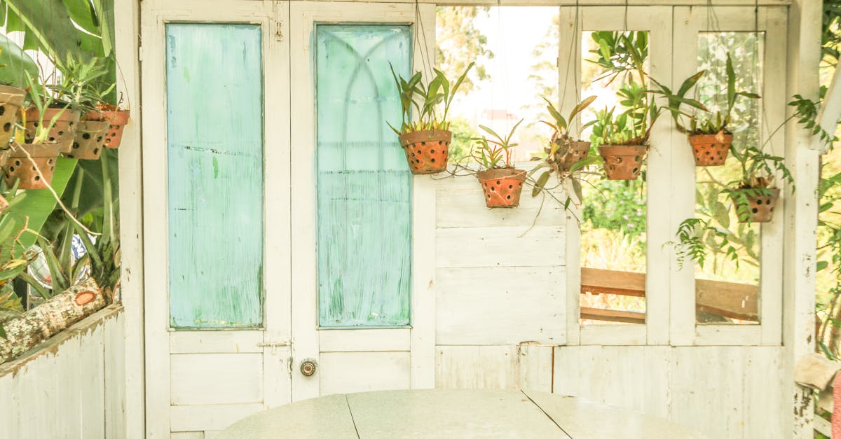 découvrez comment intégrer des plantes suspendues dans votre décoration intérieure pour apporter une touche de verdure et d’originalité à votre espace de vie. conseils, idées design et sélection des meilleures plantes à suspendre.
