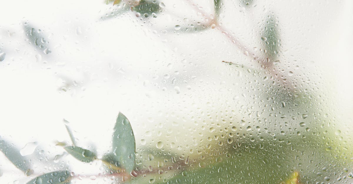 découvrez tout ce qu'il faut savoir sur l'humidité : causes, conséquences et solutions pour maintenir un environnement sain dans votre maison ou votre espace de travail.