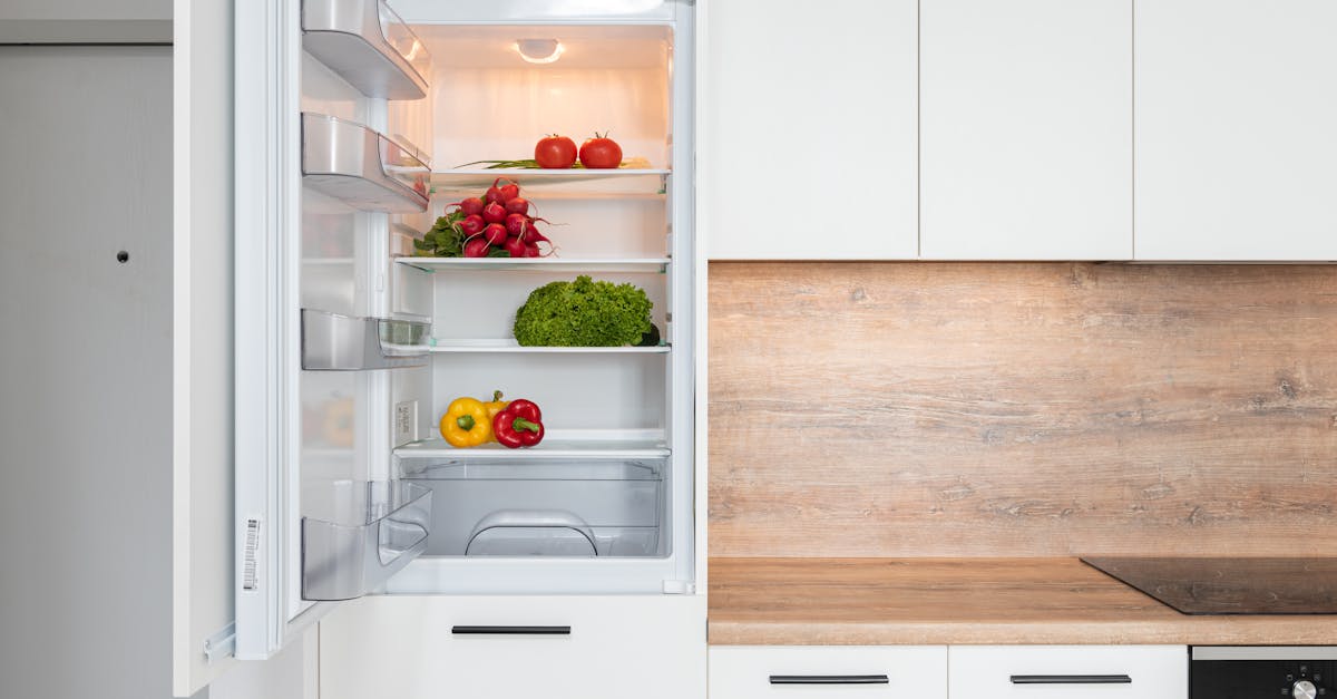 découvrez les causes possibles d’un réfrigérateur bruyant et nos conseils pratiques pour diagnostiquer et résoudre les problèmes courants afin de retrouver calme et efficacité dans votre cuisine.