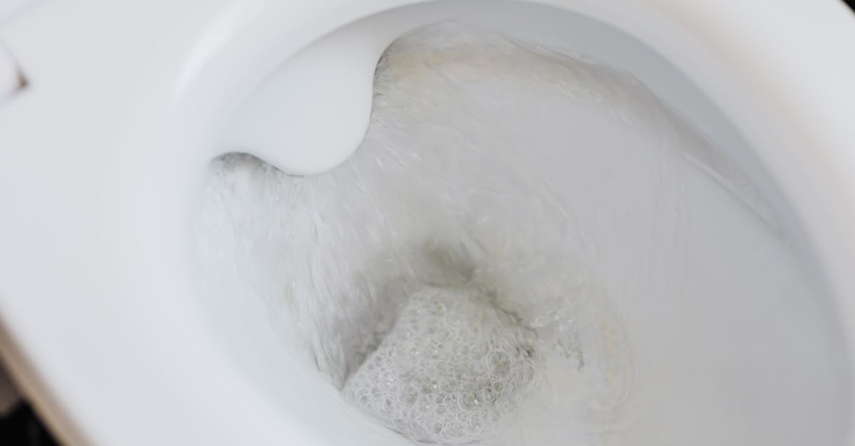 découvrez tout sur les bruits de toilettes : causes, solutions et conseils pour réduire les nuisances sonores dans votre salle de bain. améliorez votre confort au quotidien.