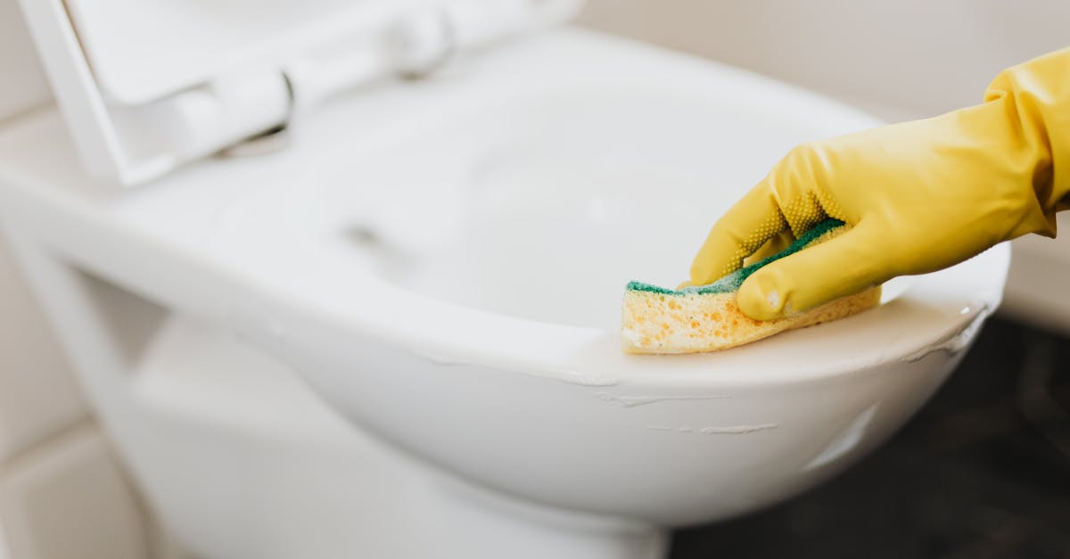 découvrez les différentes sources de bruits de toilettes, leurs significations possibles et des conseils pour y remédier afin d’améliorer le confort et l’hygiène de votre salle de bain.