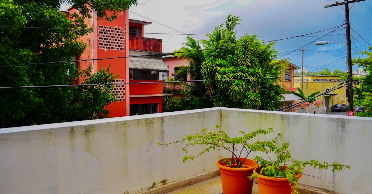 découvrez comment optimiser votre balcon avec des idées d'aménagement, de décoration et de plantes pour créer un espace extérieur agréable et fonctionnel.
