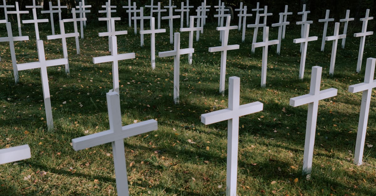 découvrez la durée de vie moyenne d’un lave-vaisselle, les facteurs qui influencent sa longévité et des conseils pour prolonger son utilisation au quotidien.