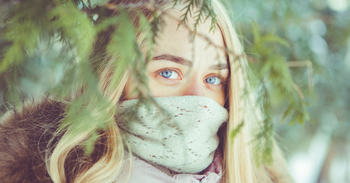 protégez vos plantes et cultures contre le gel avec des solutions efficaces de protection contre le froid. découvrez nos conseils et produits pour préserver votre jardin tout l'hiver.