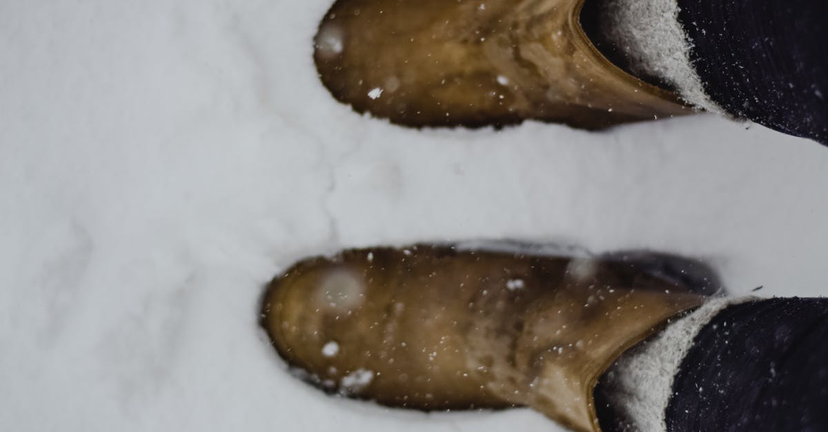 découvrez tout sur l'isolation : conseils, techniques et matériaux pour optimiser l'efficacité énergétique de votre maison et améliorer votre confort toute l'année.