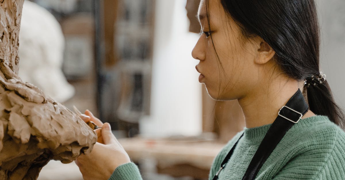 découvrez tout ce qu'il faut savoir sur la moisissure : ses causes, ses dangers pour la santé, comment l'identifier et les solutions efficaces pour s'en débarrasser durablement.