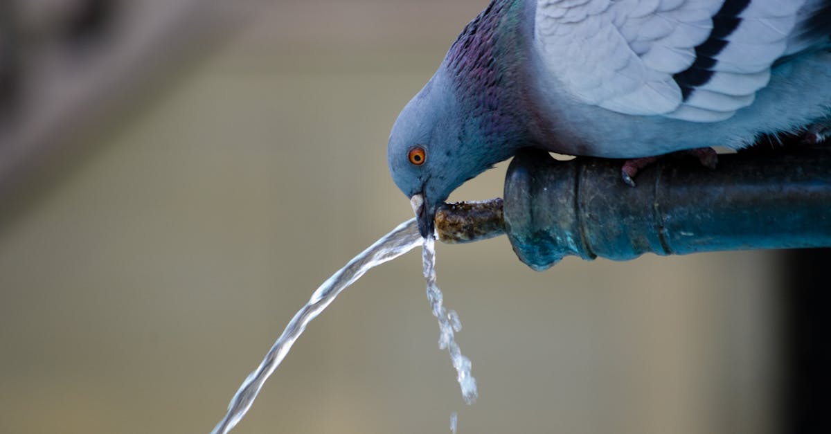 le pipe relining est une technique innovante de rénovation de canalisations sans travaux de terrassement. découvrez ses avantages, le processus de pose et comment prolonger la durée de vie de vos tuyaux de manière rapide et économique.