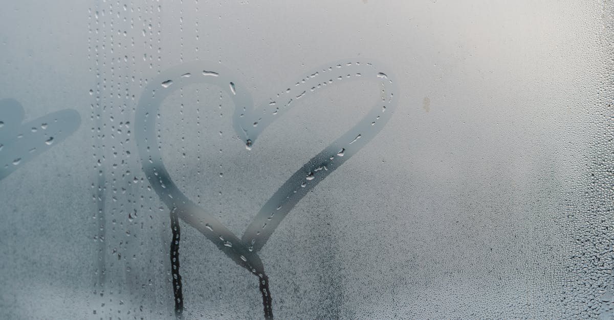 découvrez les causes de la condensation dans votre réfrigérateur et apprenez comment l'éviter pour préserver vos aliments et améliorer la performance de votre appareil.