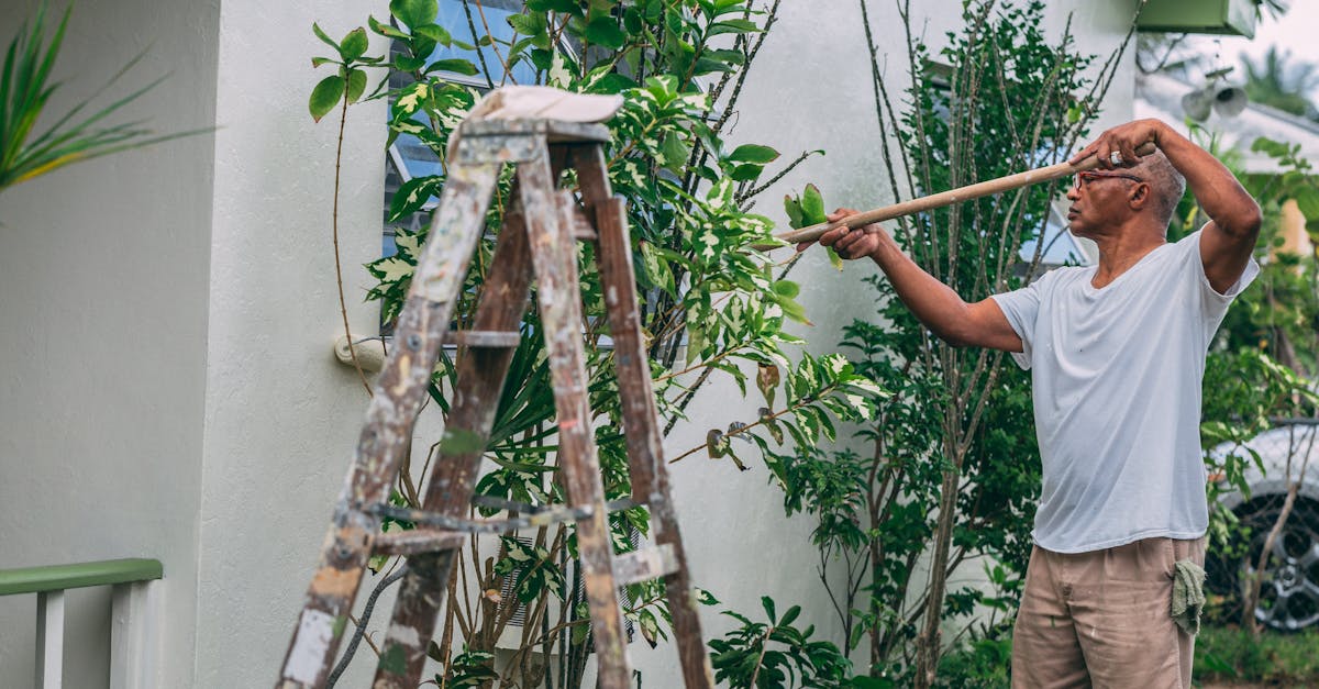 découvrez nos conseils et services pour la rénovation de votre maison ou appartement. améliorez votre espace de vie grâce à des solutions adaptées à vos besoins et à votre budget.