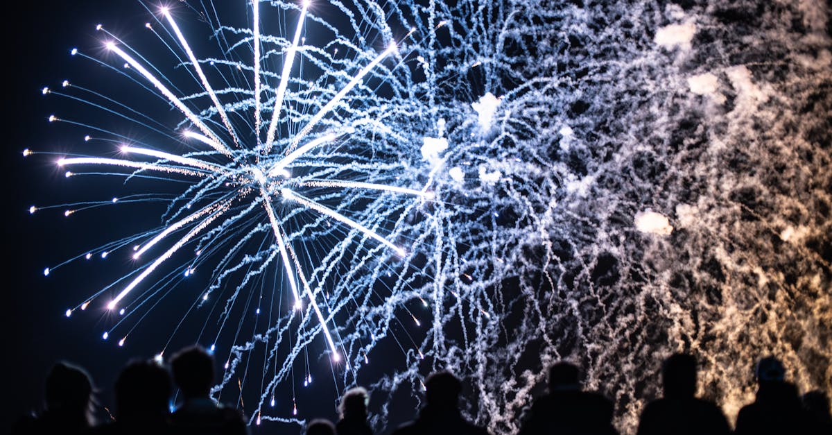 découvrez l'importance des détecteurs de fumée pour assurer la sécurité de votre maison. conseils d'installation, types de détecteurs et recommandations pour protéger vos proches en cas d'incendie.