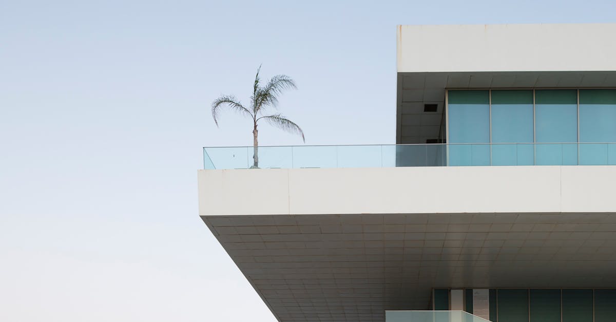 découvrez comment nettoyer efficacement votre terrasse grâce à nos conseils pratiques et astuces pour obtenir un espace extérieur propre et accueillant toute l'année.
