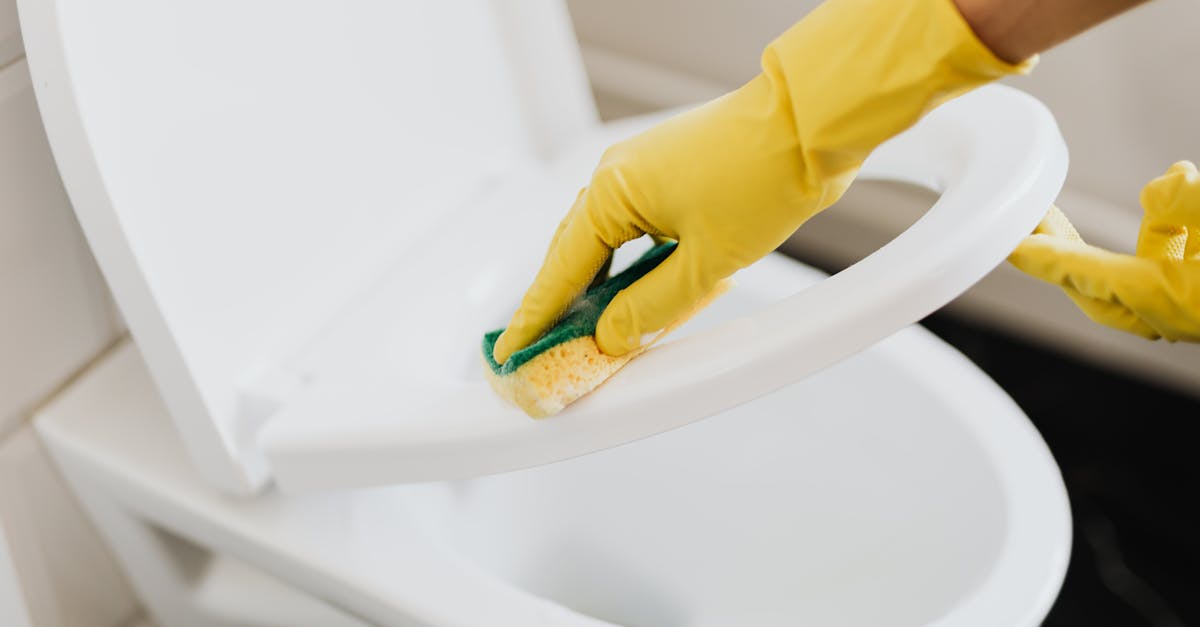 remplacez facilement vos toilettes grâce à nos conseils et solutions adaptés. découvrez comment installer de nouvelles toilettes pour plus de confort et d’efficacité dans votre salle de bain.