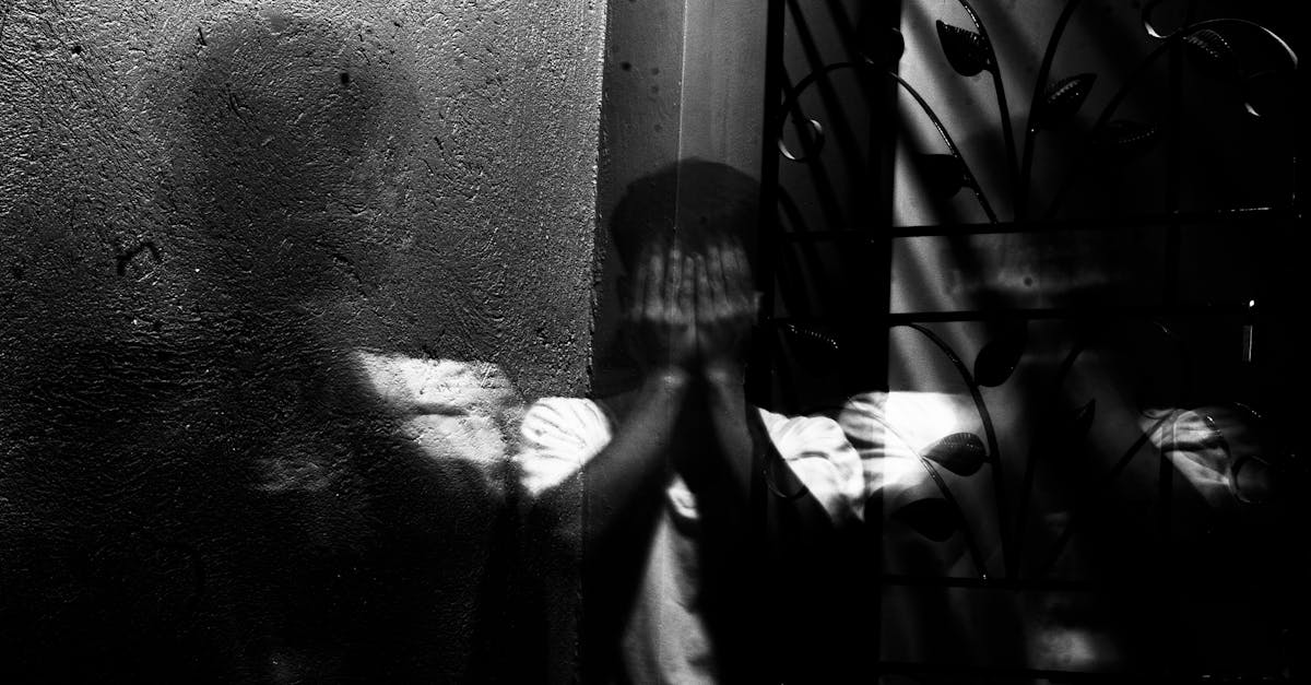 découvrez une large sélection de revêtements muraux modernes et élégants pour sublimer votre intérieur. trouvez des matériaux, couleurs et styles adaptés à tous vos projets de décoration.