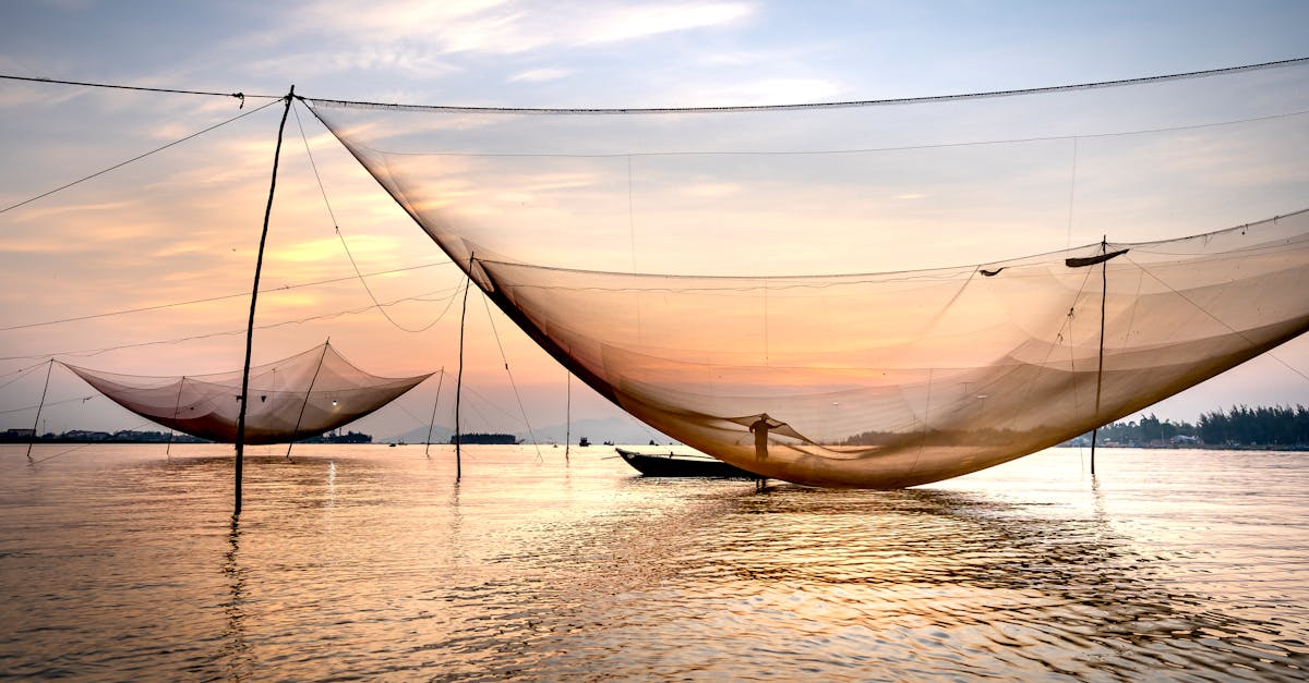 découvrez les coûts d'installation d'un système d'eau : conseils, estimations de prix et facteurs à prendre en compte pour réussir votre projet en toute sérénité.