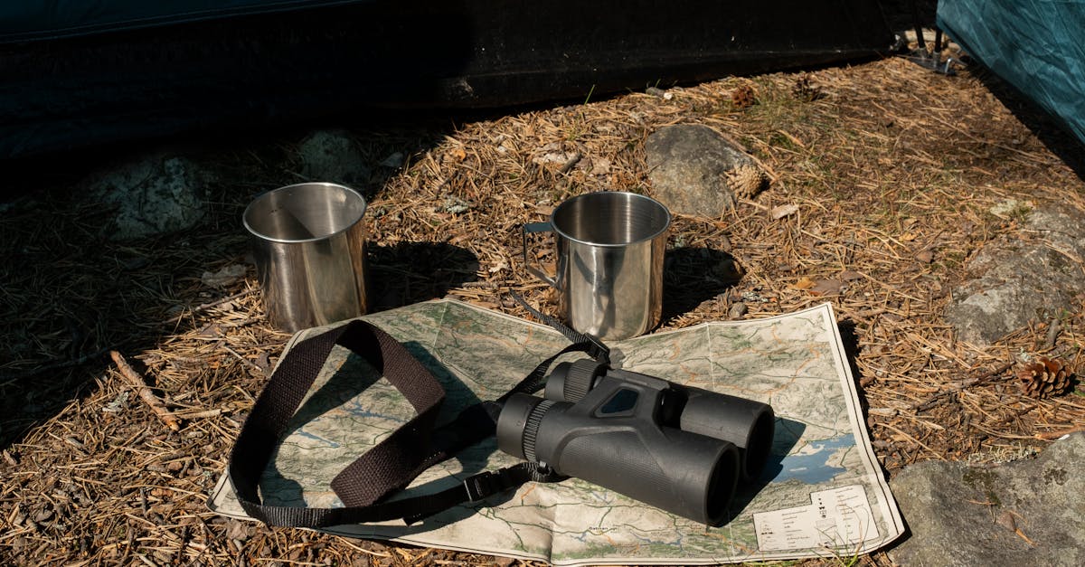 découvrez comment choisir et orienter votre revêtement de sol pour sublimer chaque pièce de votre maison. conseils pratiques et astuces pour une pose de parquet ou carrelage réussie.