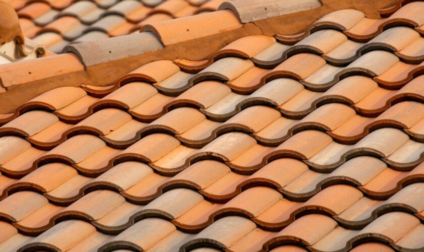brown roof tiles in close up photography