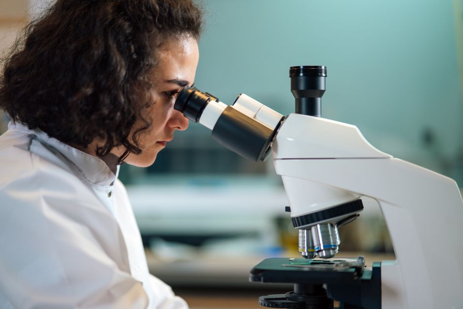 A focused scientist examines samples under a microscope in a laboratory setting.