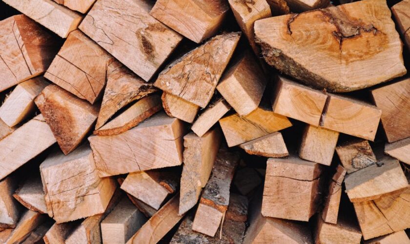 Close-up of a neatly stacked pile of chopped firewood, ideal for home heating or campfire fuel.