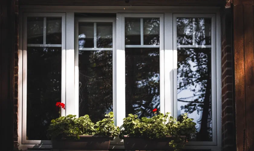 A charming window with red geranium flowers illuminated by soft daylight shadows.