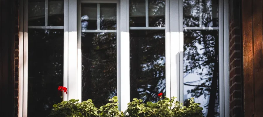 A charming window with red geranium flowers illuminated by soft daylight shadows.
