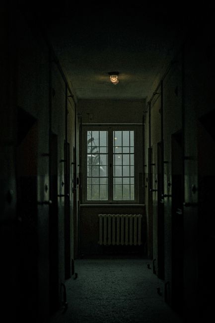A dimly lit hallway with vintage style and a single bulb casting shadows.