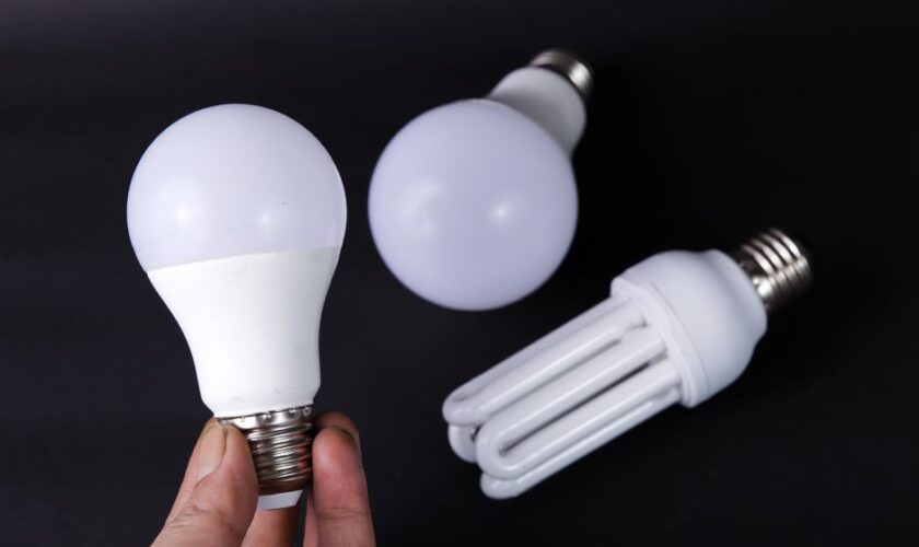 Close-up of energy-efficient LED and CFL light bulbs on a black surface.