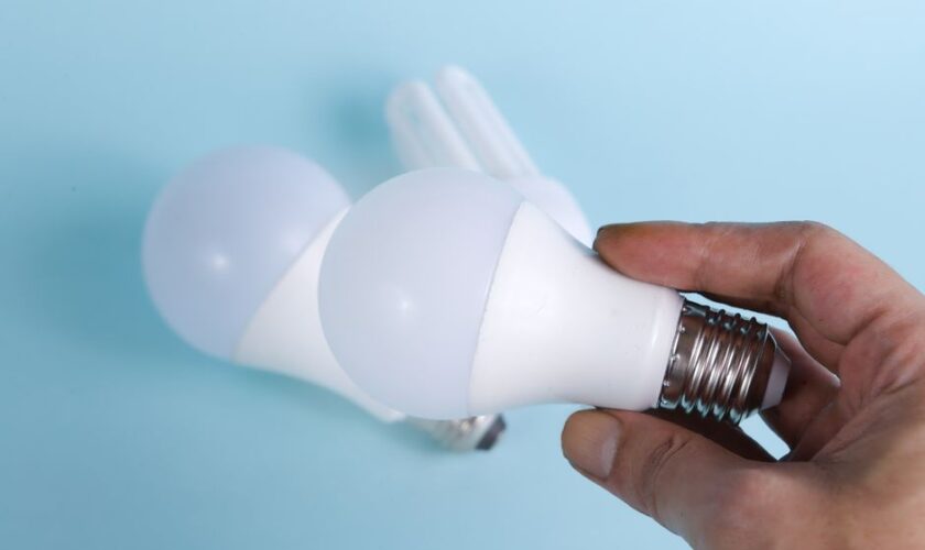 Close-up of hand holding energy-efficient LED light bulbs on a blue background.