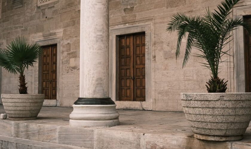 Elegant stone architecture featuring potted palm plants beside wooden doors.