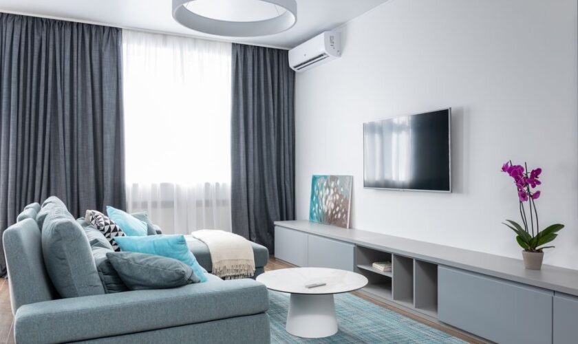 Interior of modern living room with TV on wall and blooming potted flower with picture on shelf