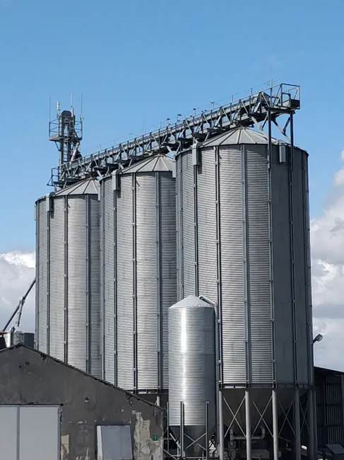 Large metal grain storage silos under a clear blue sky, representing agriculture.