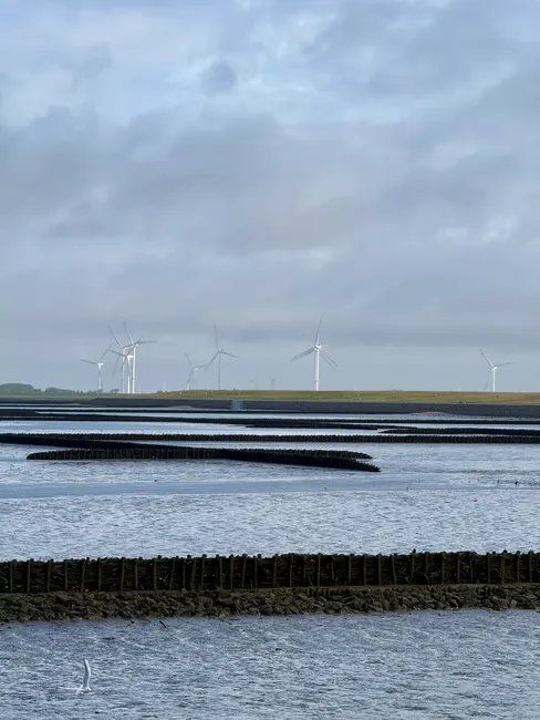 Serene view of wind turbines along the Wadden Sea shore, with cloudy sky and tidal patterns.