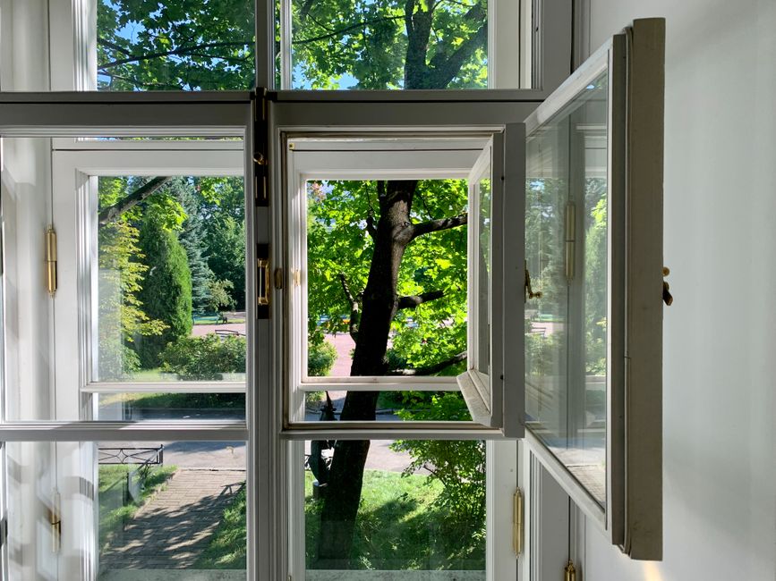 Sunlight streaming through an open window with a view of a lush green park. Captured in St. Petersburg, Russia.